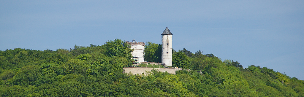 Image of the Plesse castle